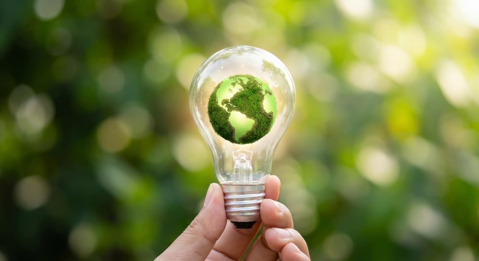 A hand holding a light bulb containing a green globe against a bright green, leafy background